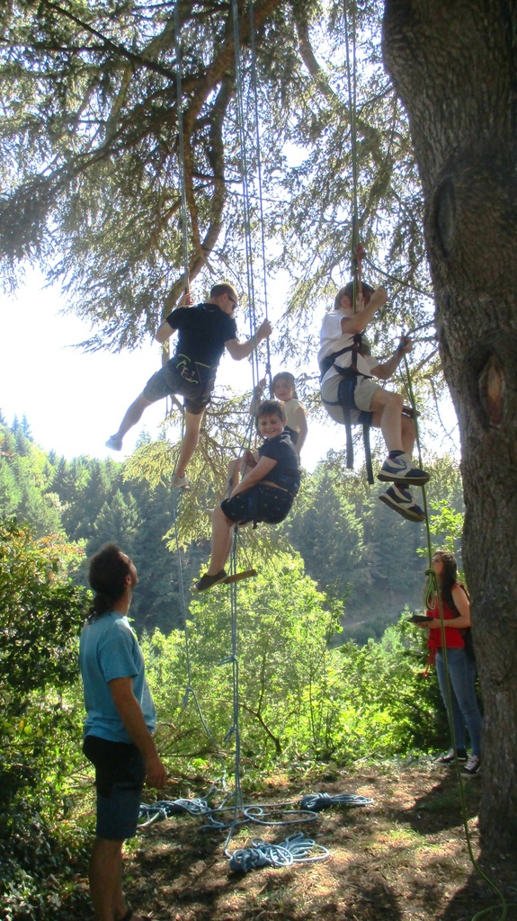 Les Échappées Estivales "Grimpe dans les arbres" 30/07