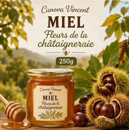 Canova Vincent - Miel 250g "Fleurs de la châtaigneraie"